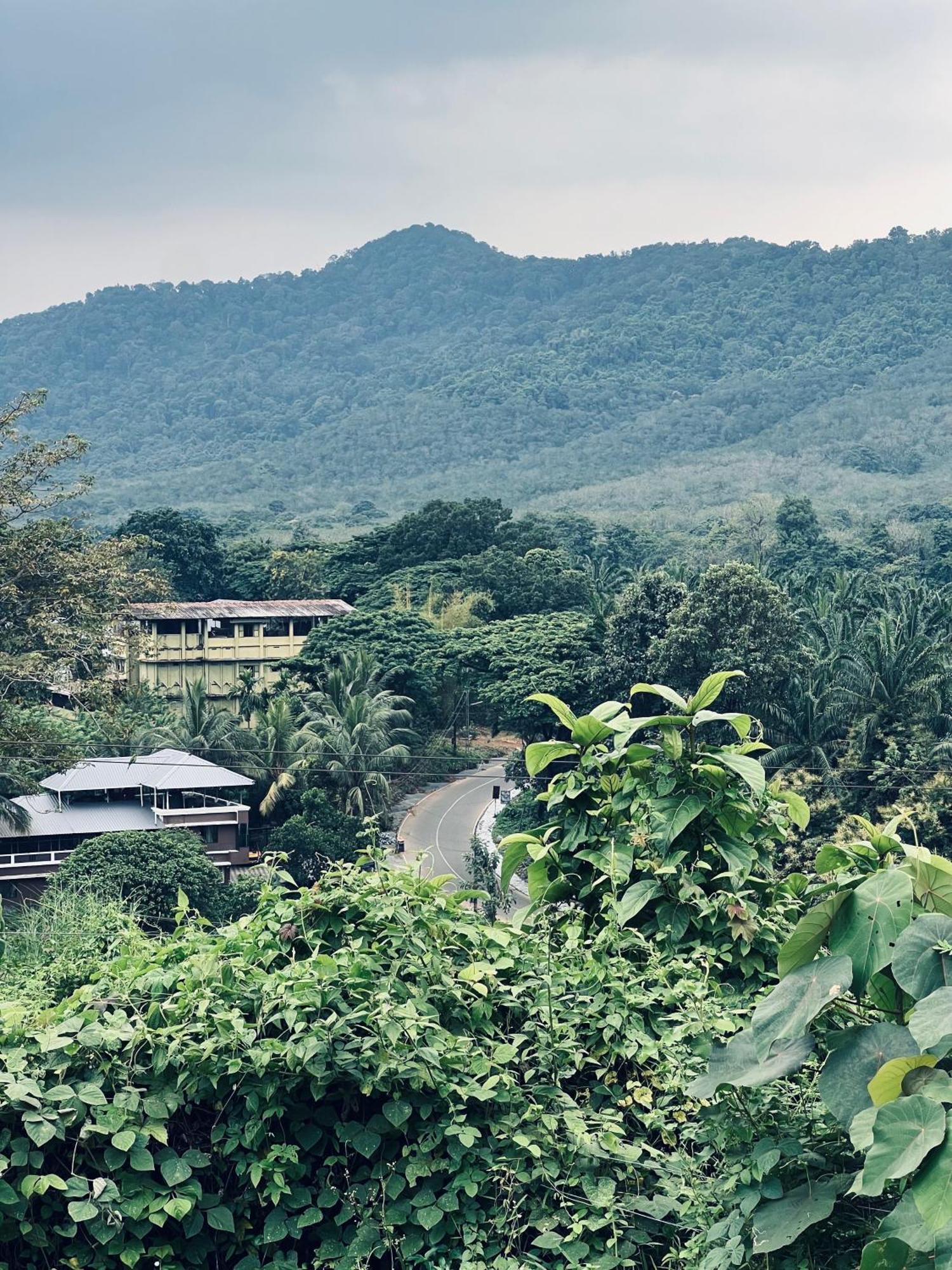 7Fort Homestay Athirappilly Bagian luar foto